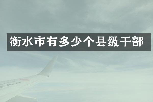 衡水市有多少个县级干部