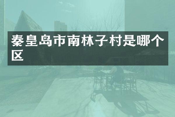 秦皇岛市南林子村是哪个区