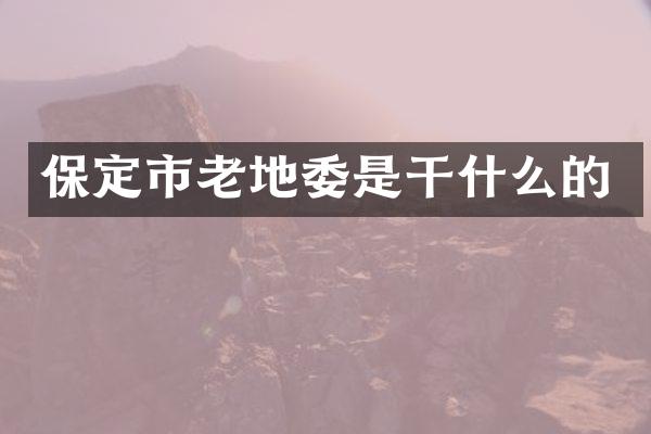 保定市老地委是干什么的