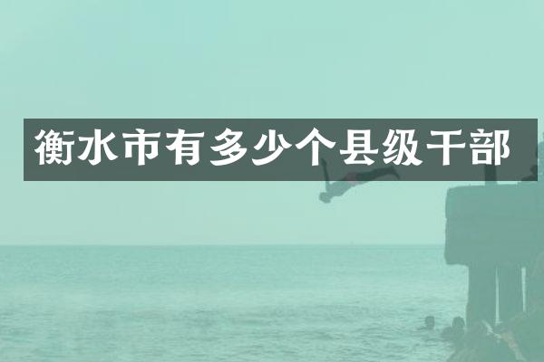 衡水市有多少个县级干部
