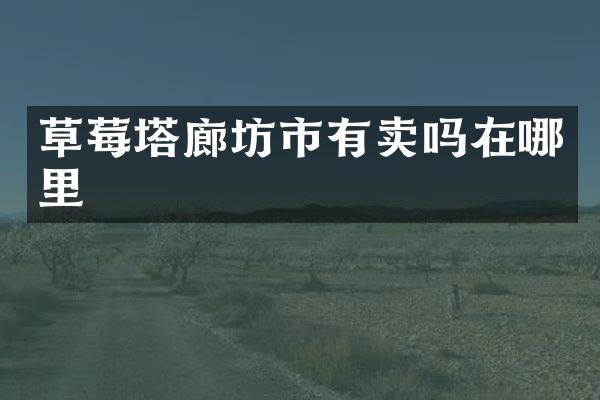 草莓塔廊坊市有卖吗在哪里