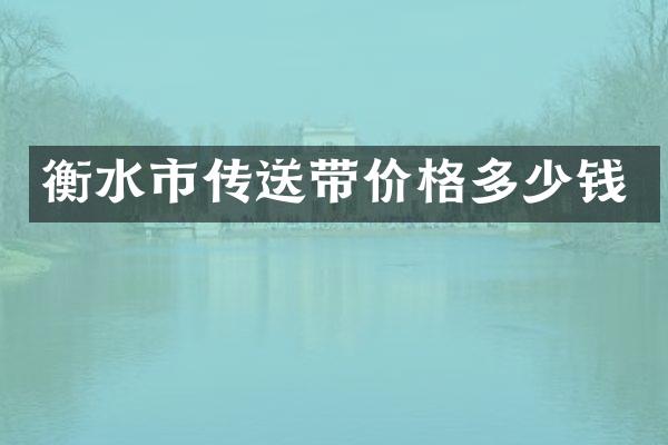 衡水市传送带价格多少钱