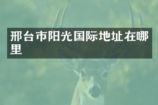 邢台市阳光国际地址在哪里