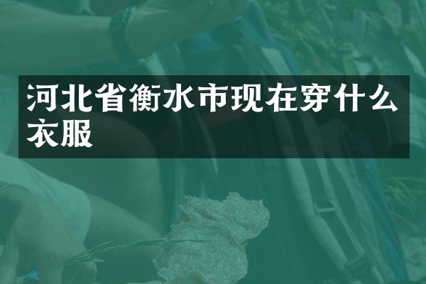 河北省衡水市现在穿什么衣服