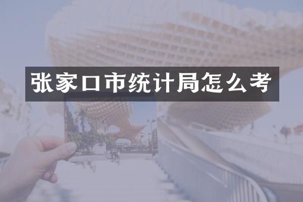 张家口市统计局怎么考