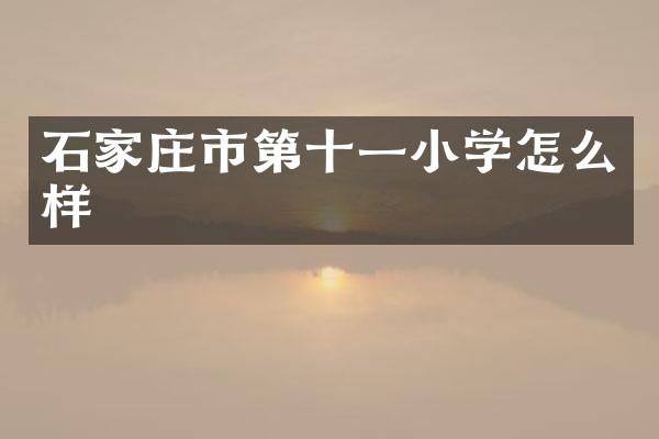 石家庄市第十一小学怎么样