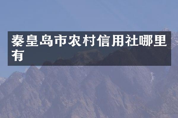 秦皇岛市农村信用社哪里有