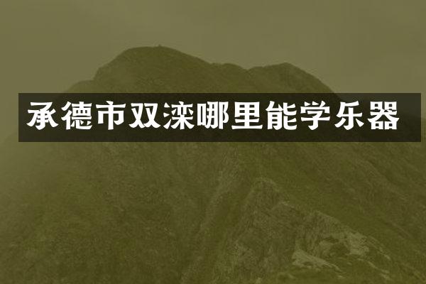 承德市双滦哪里能学乐器