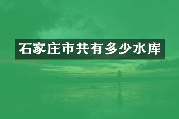石家庄市共有多少水库