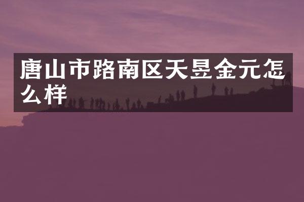 唐山市路南区天昱金元怎么样