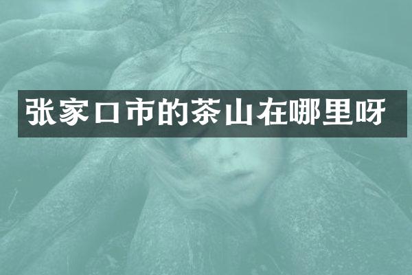 张家口市的茶山在哪里呀