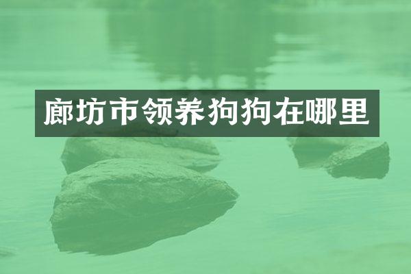 廊坊市领狗在哪里