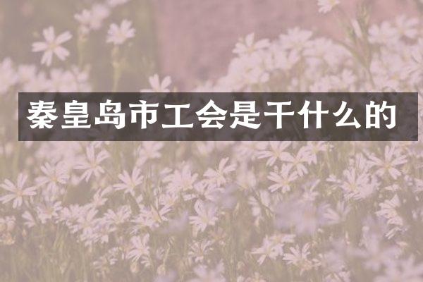 秦皇岛市工会是干什么的