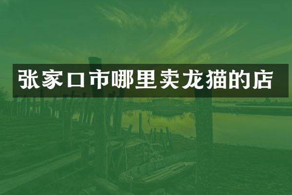 张家口市哪里卖龙猫的店