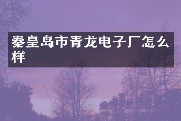 秦皇岛市青龙电子厂怎么样