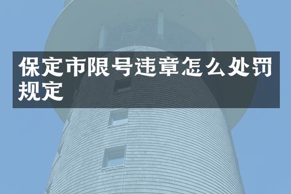 保定市限号违章怎么处罚规定