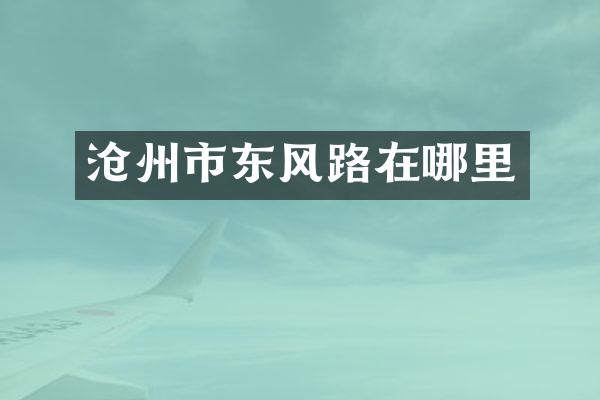 沧州市东风路在哪里