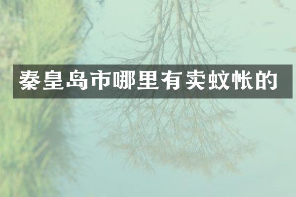 秦皇岛市哪里有卖蚊帐的