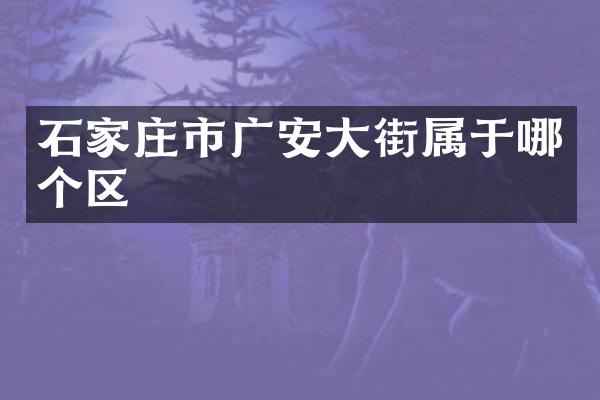 石家庄市广安大街属于哪个区