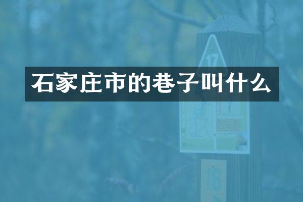 石家庄市的巷子叫什么