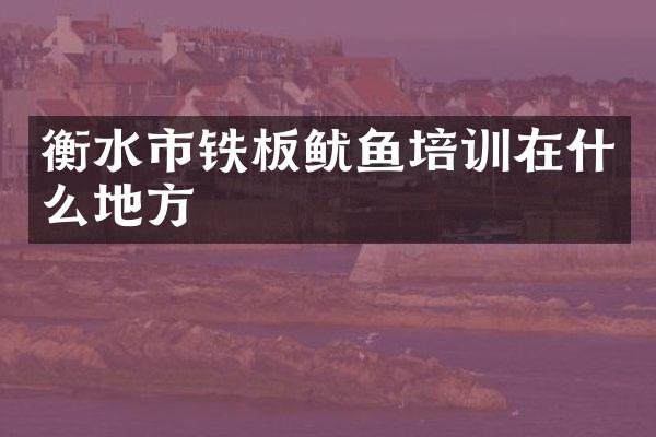 衡水市铁板鱿鱼培训在什么地方