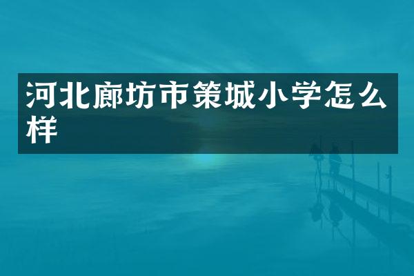 河北廊坊市策城小学怎么样