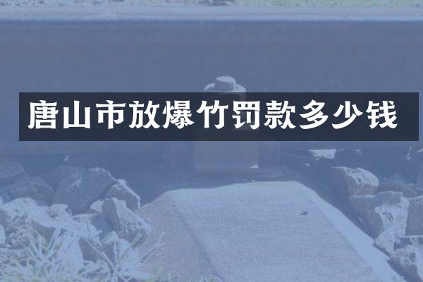 唐山市放爆竹罚款多少钱