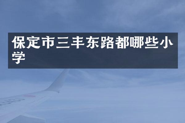 保定市三丰东路都哪些小学