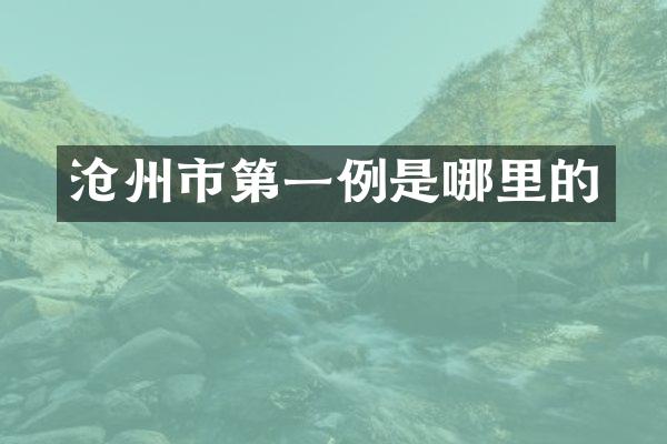 沧州市第一例是哪里的