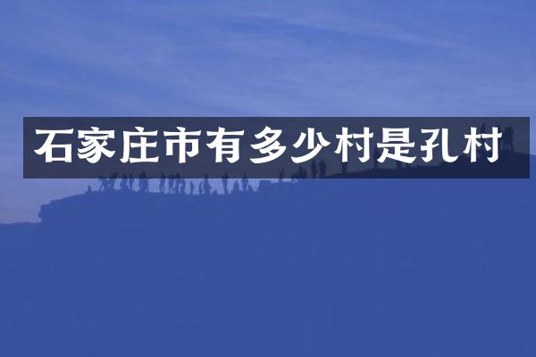 石家庄市有多少村是孔村