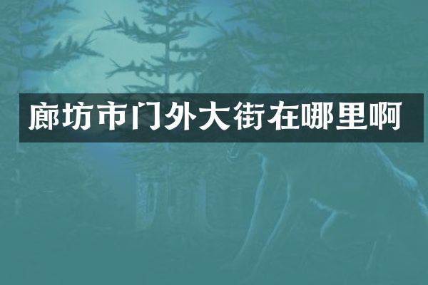 廊坊市门外大街在哪里啊