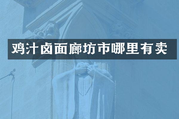 鸡汁卤面廊坊市哪里有卖