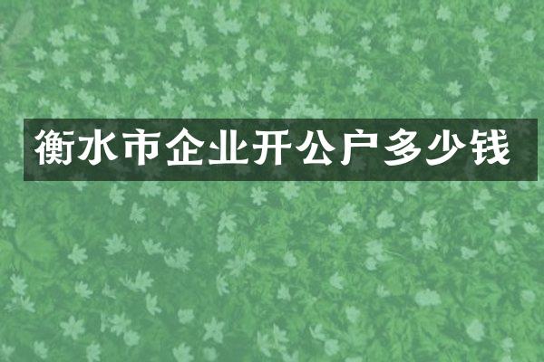 衡水市企业开公户多少钱