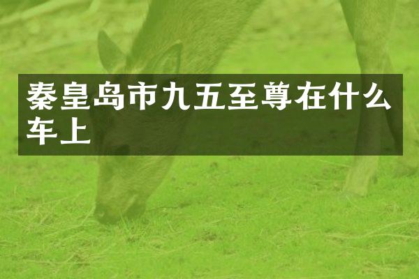 秦皇岛市九五至尊在什么车上