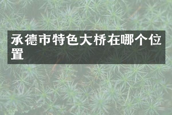 承德市特色大桥在哪个位置