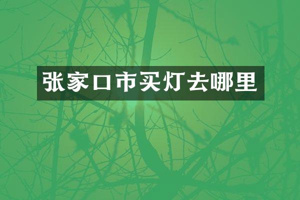张家口市买灯去哪里