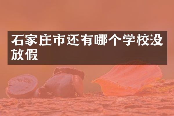 石家庄市还有哪个学校没放假