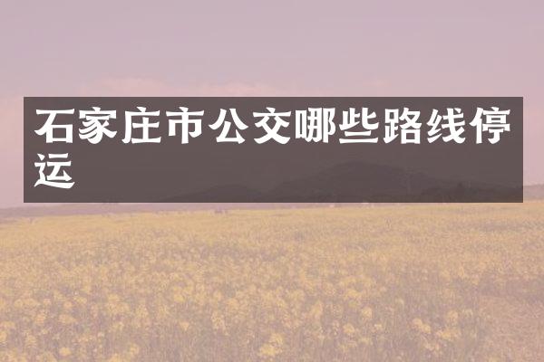 石家庄市公交哪些路线停运