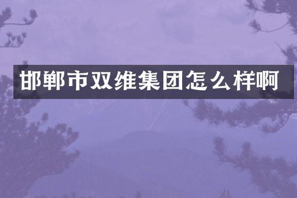 邯郸市双维集团怎么样啊