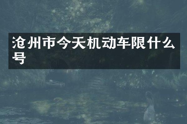 沧州市今天机动车限什么号