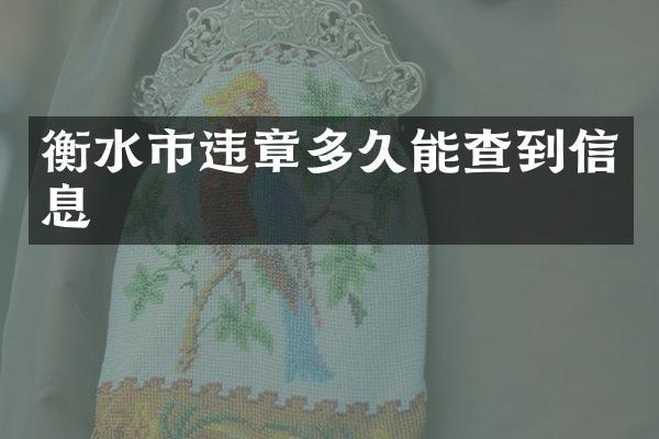 衡水市违章多久能查到信息