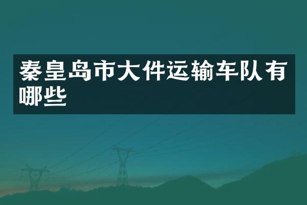 秦皇岛市大件运输车队有哪些