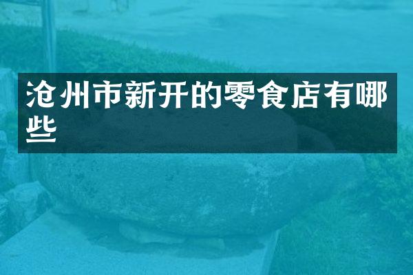沧州市新开的零食店有哪些