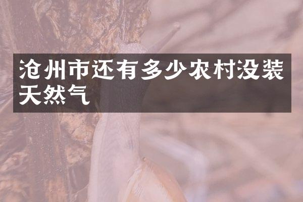 沧州市还有多少农村没装天然气