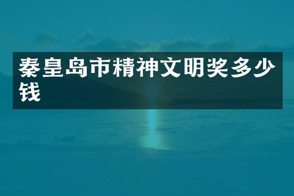 秦皇岛市精神文明奖多少钱