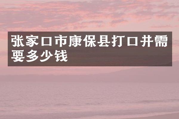 张家口市康保县打口井需要多少钱