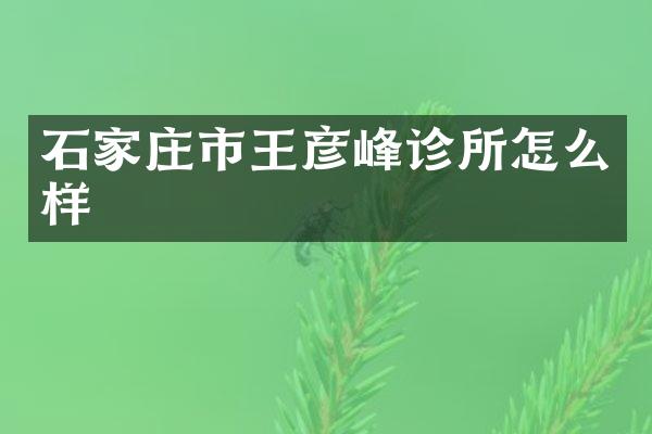 石家庄市王彦峰诊所怎么样