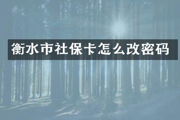 衡水市社保卡怎么改密码