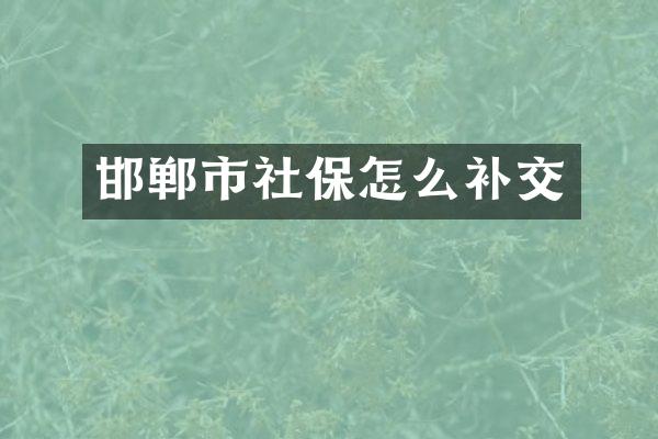 邯郸市社保怎么补交