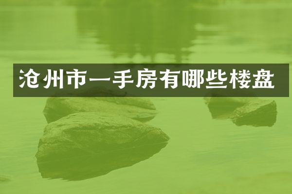 沧州市一手房有哪些楼盘